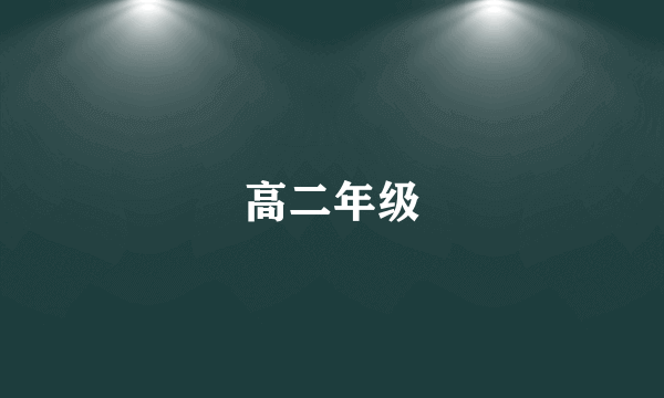 高二年级
