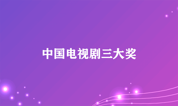 中国电视剧三大奖