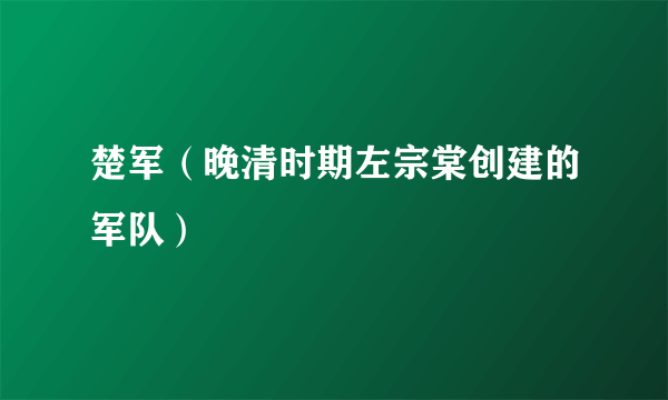 楚军（晚清时期左宗棠创建的军队）