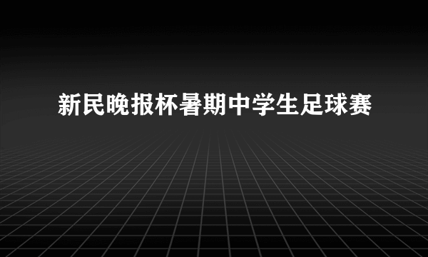 新民晚报杯暑期中学生足球赛