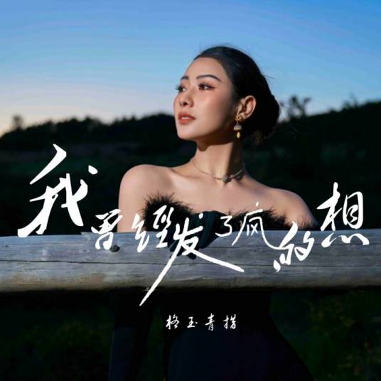 我曾经发了疯的想（格玉青措演唱的歌曲）