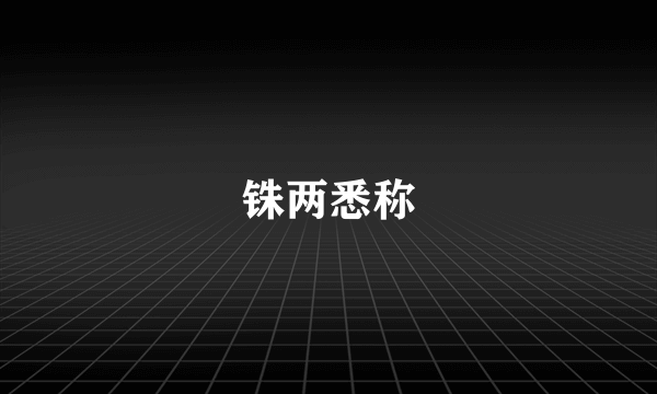 铢两悉称