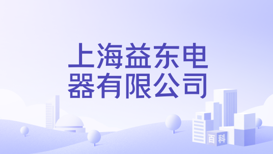 上海益东电器有限公司