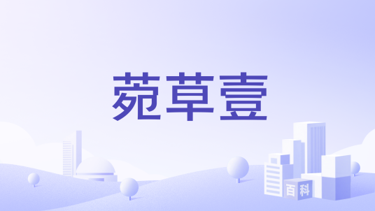 菀草壹