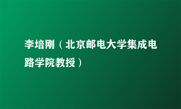 李培刚（北京邮电大学集成电路学院教授）