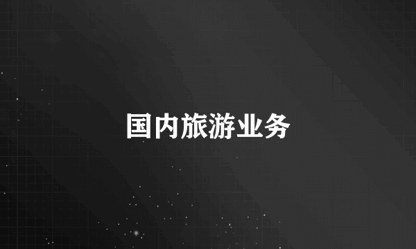 国内旅游业务