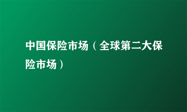 中国保险市场（全球第二大保险市场）