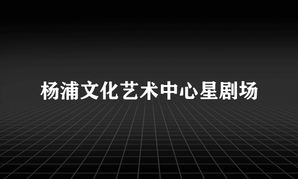 杨浦文化艺术中心星剧场