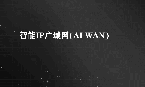 智能IP广域网(AI WAN)