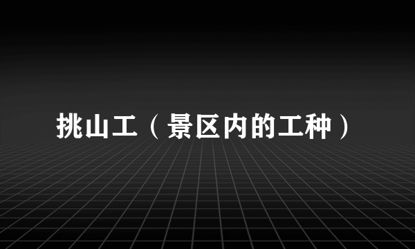 挑山工（景区内的工种）