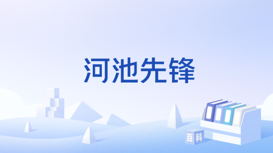 河池先锋