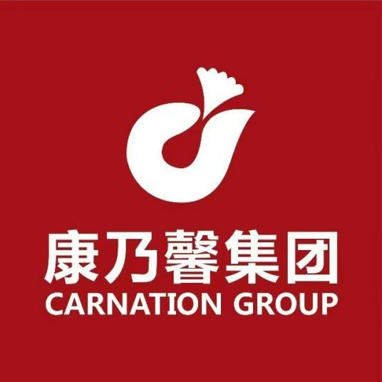 康乃馨（中国纺织企业）