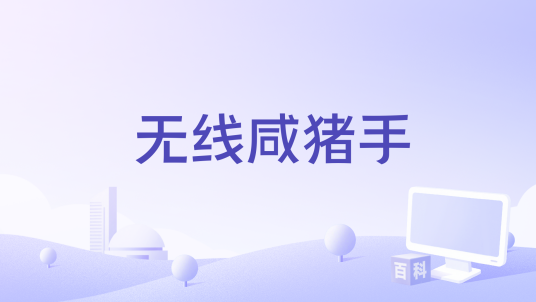 无线咸猪手