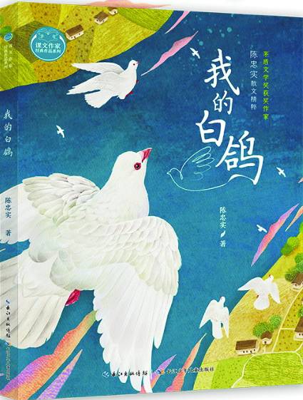 我的白鸽