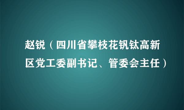 赵锐（四川省攀枝花钒钛高新区党工委副书记、管委会主任）