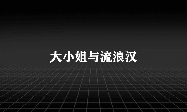 大小姐与流浪汉