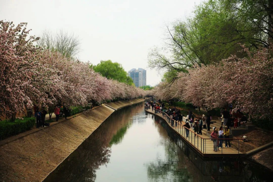 望京海棠花溪