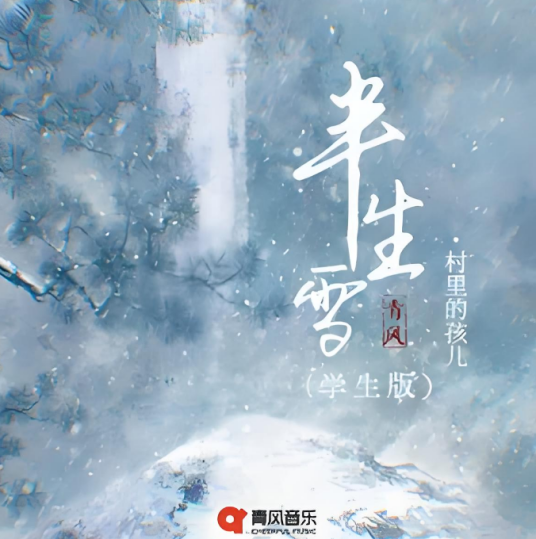 半生雪（村里的孩儿演唱歌曲）