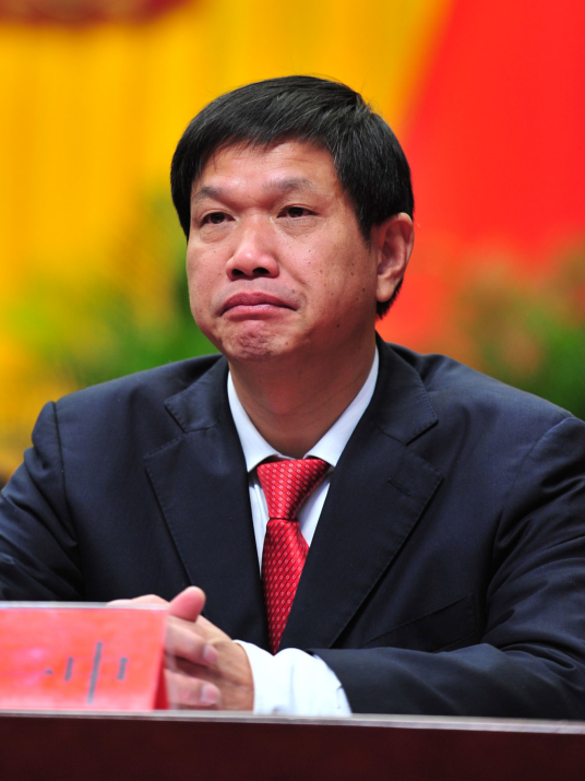杨一中(湖南省怀化市人大常委会原副主任)