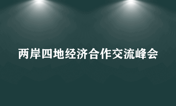 两岸四地经济合作交流峰会