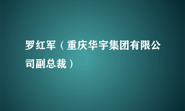 罗红军（重庆华宇集团有限公司副总裁）