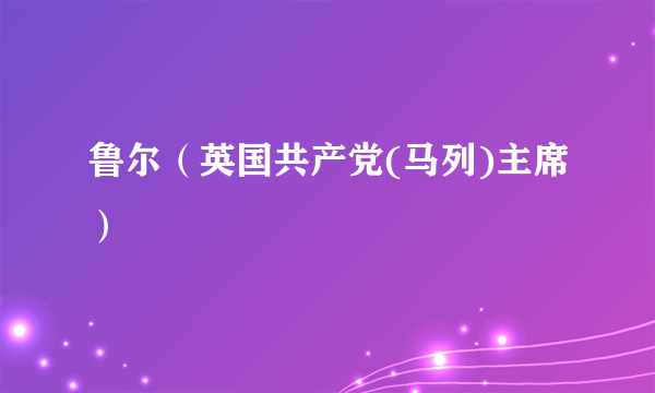 鲁尔（英国共产党(马列)主席）