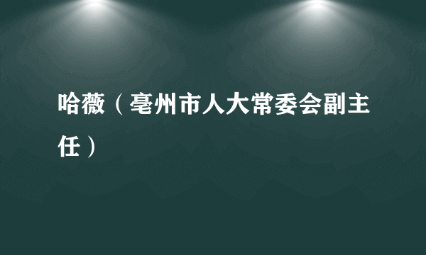 哈薇（亳州市人大常委会副主任）