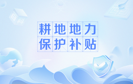 耕地地力保护补贴（中央财政强农惠农政策中的补贴）