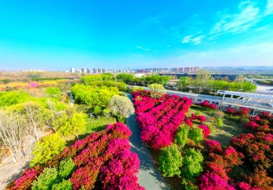 济南鲜花港景区