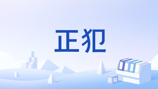 正犯