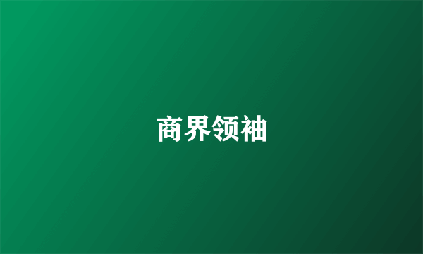 商界领袖