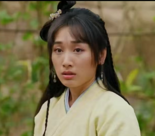 姚小蝶（古装电影《济公之降龙有悔》中的角色）