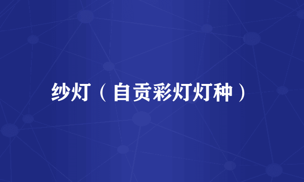 纱灯（自贡彩灯灯种）