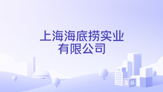 上海海底捞实业有限公司