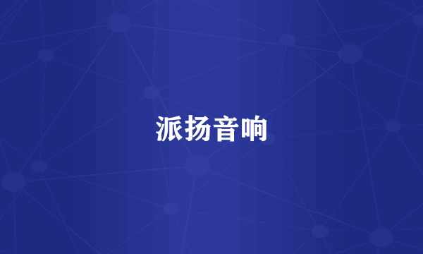 派扬音响