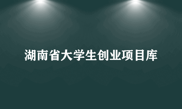 湖南省大学生创业项目库