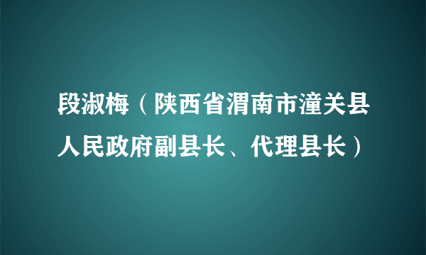 段淑梅（陕西省渭南市潼关县人民政府副县长、代理县长）