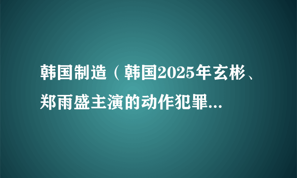 韩国制造（韩国2025年玄彬、郑雨盛主演的动作犯罪惊悚剧）