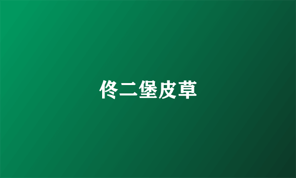 佟二堡皮草