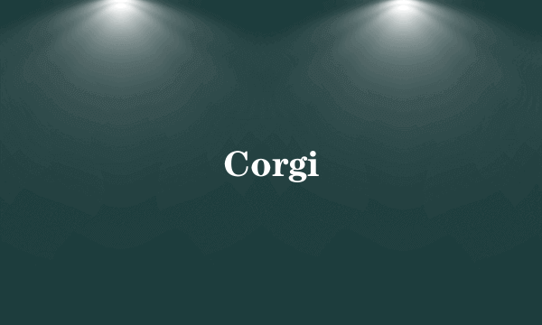 Corgi