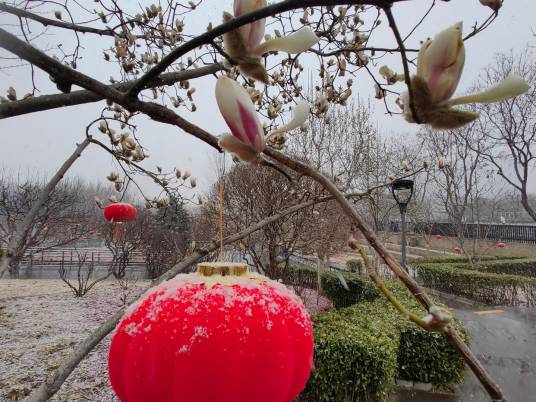 3·4北京降雪
