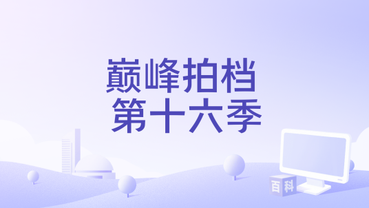 巅峰拍档 第十六季