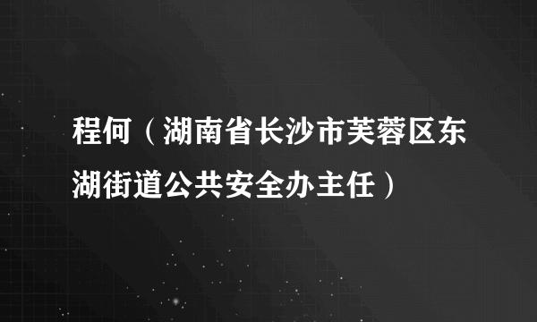 程何（湖南省长沙市芙蓉区东湖街道公共安全办主任）
