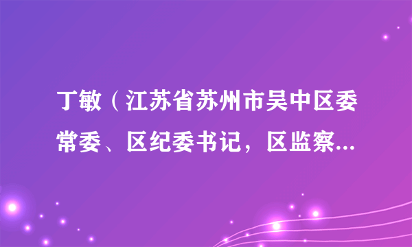 丁敏（江苏省苏州市吴中区委常委、区纪委书记，区监察委员会副主任、代理主任，四级高级监察官）