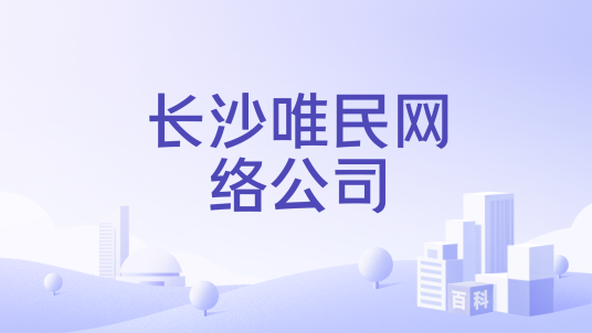 长沙唯民网络公司