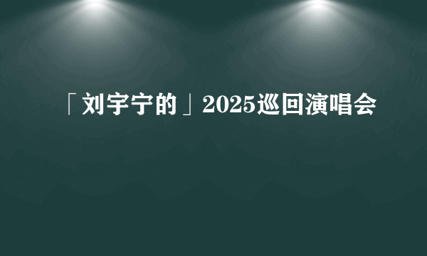 「刘宇宁的」2025巡回演唱会