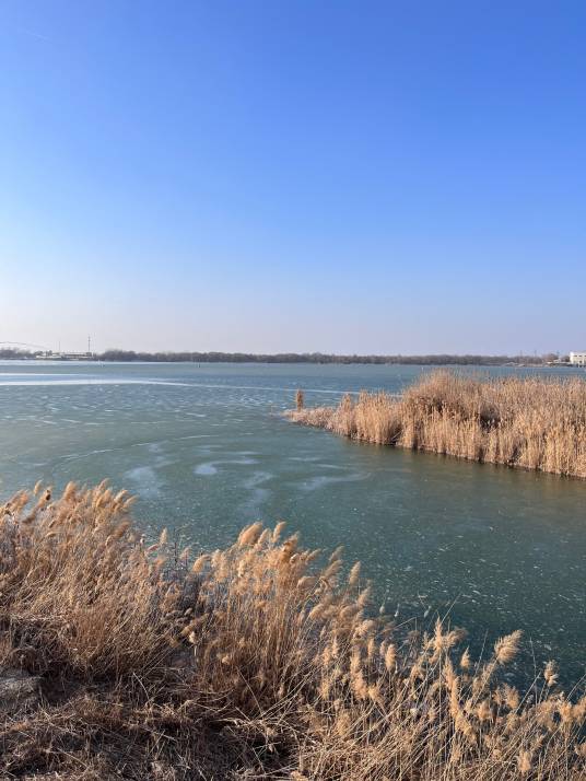 衡水市衡水湖旅游景区