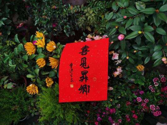 喜见升卿