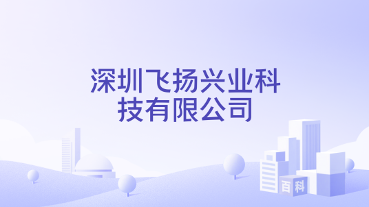 深圳飞扬兴业科技有限公司