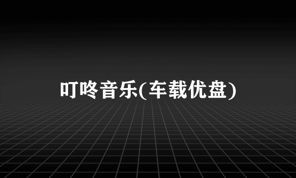 叮咚音乐(车载优盘)